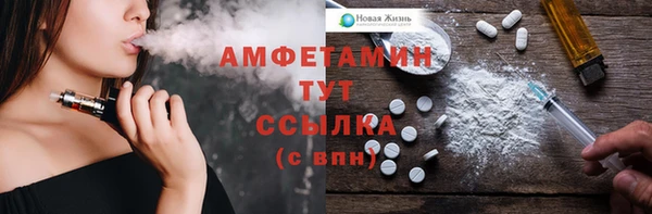 гашик Бородино