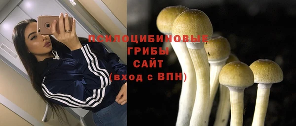 бошки Бугульма