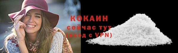 гашик Бородино