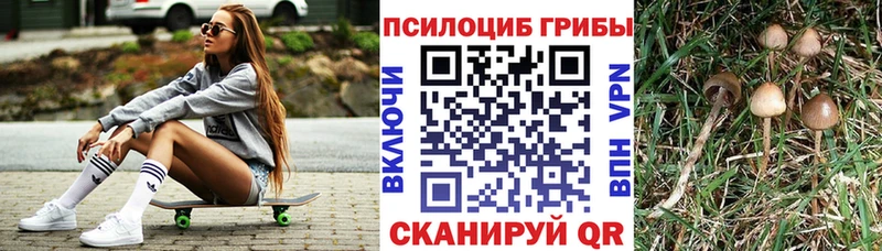 сайты даркнета какой сайт OMG онион Нахабино Галлюциногенные грибы MAGIC MUSHROOMS