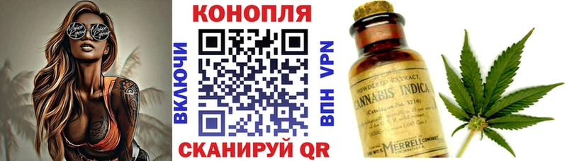 как найти закладки Нахабино Шишки марихуана тримм
